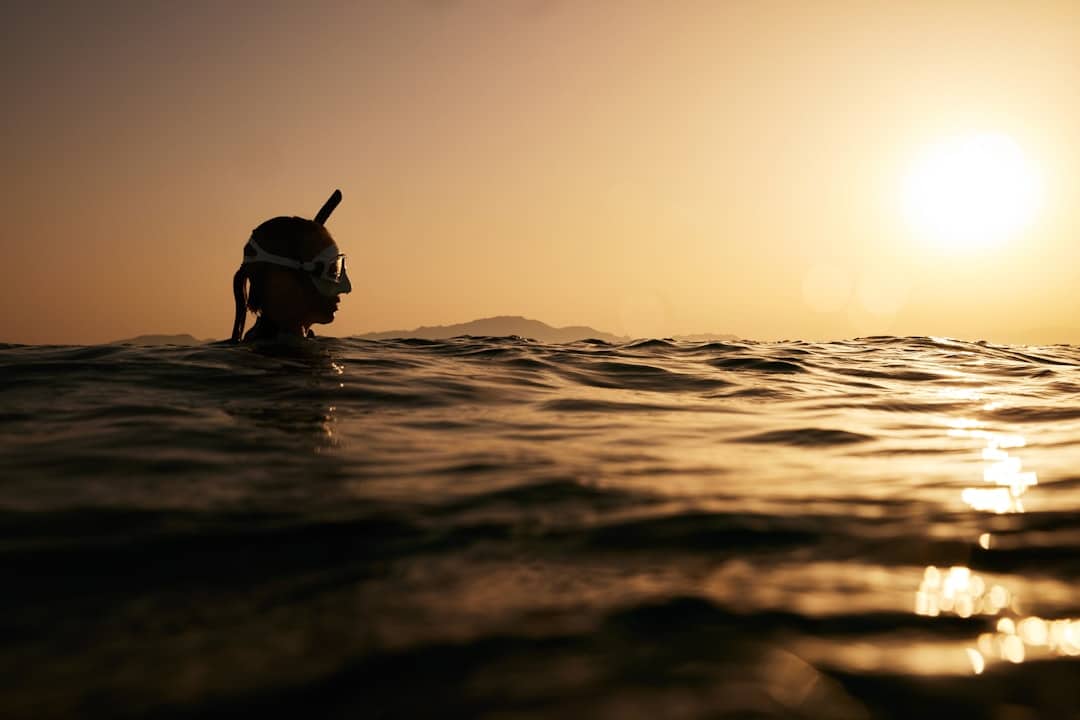 découvrez l'importance de la biodiversité pour notre planète, son impact sur les écosystèmes, et les actions à entreprendre pour préserver la richesse naturelle de notre environnement.