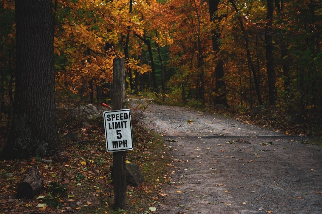 découvrez des conseils essentiels et des informations sur la sécurité routière pour protéger les conducteurs, les piétons et les cyclistes. apprenez à prévenir les accidents et à promouvoir un comportement responsable sur les routes.