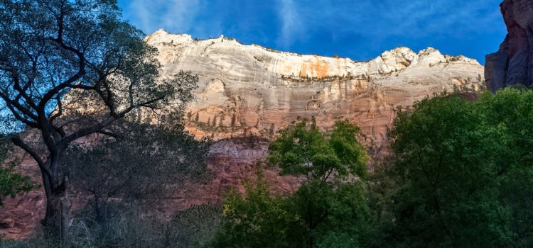 Les Parcs Nationaux : quelles merveilles naturelles se cachent derrière leurs portes ?