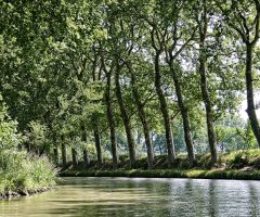 Pourquoi les jupes MIDI deviennent-elles l’incontournable de notre garde-robe cette saison ?