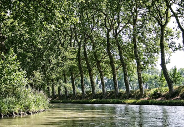 Pourquoi les jupes MIDI deviennent-elles l’incontournable de notre garde-robe cette saison ?