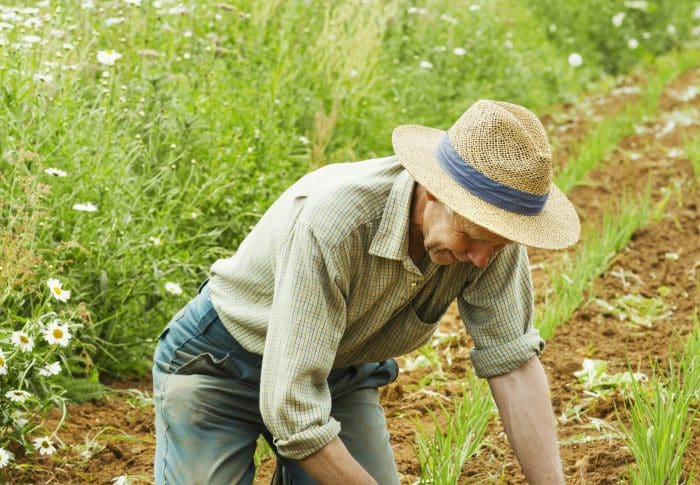 Dernières tendances et innovations dans le monde généraliste : une perspective française